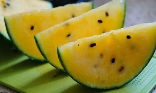 甘肃最新的瓜爆料,瓜果飘香，丰收喜讯传四方